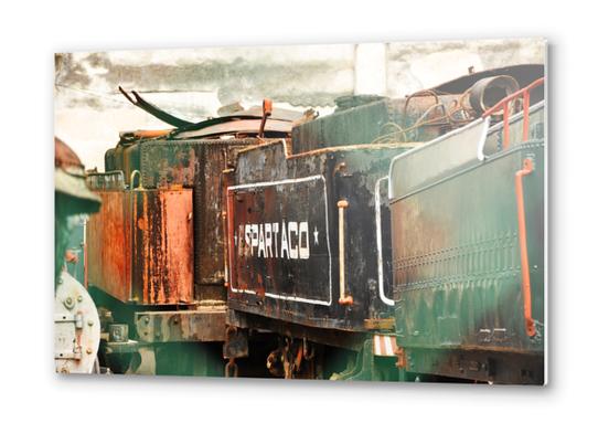 Train Cemetery Metal prints by fauremypics