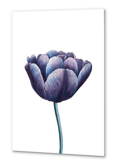 Tulip Metal prints by Nika_Akin