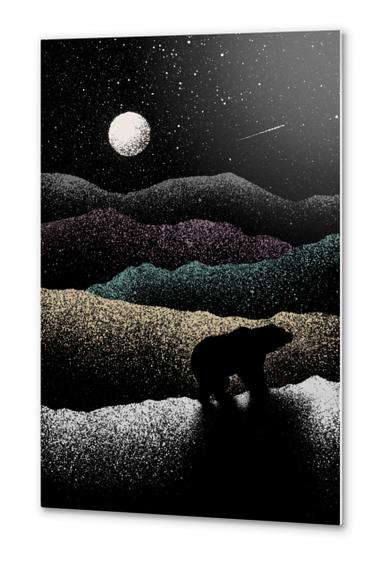 Wandering Bear Metal prints by Florent Bodart - Speakerine