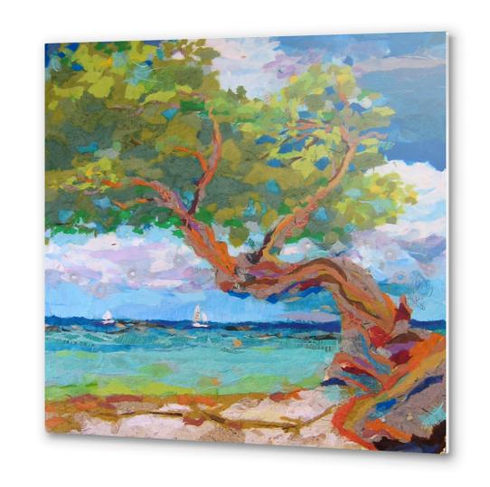 Beach Tree I Metal prints by Elizabeth St. Hilaire