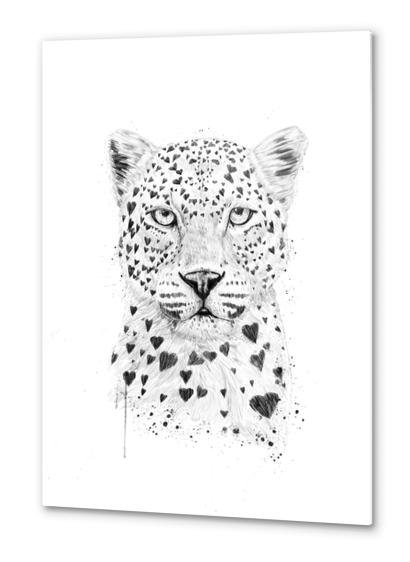 Lovely leopard Metal prints by Balazs Solti