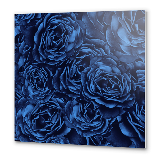 Enchanted Garden - Passion Roses Metal prints by Octavia Soldani