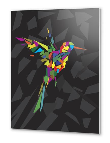 Rainbow Fly-Bird Metal prints by Alex Xela