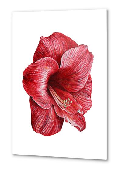 Red flower Metal prints by Nika_Akin