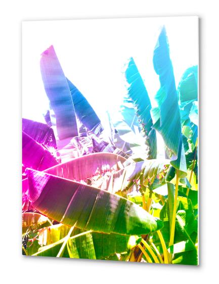 Summer bananas 2 Metal prints by fokafoka