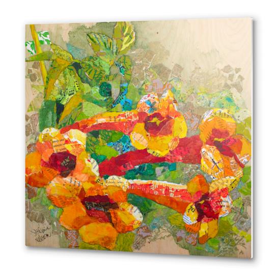 Trumpet Vine Metal prints by Elizabeth St. Hilaire