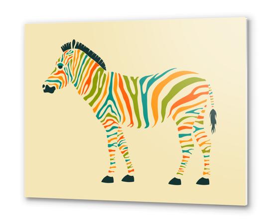 ZEBRA Metal prints by Jazzberry Blue