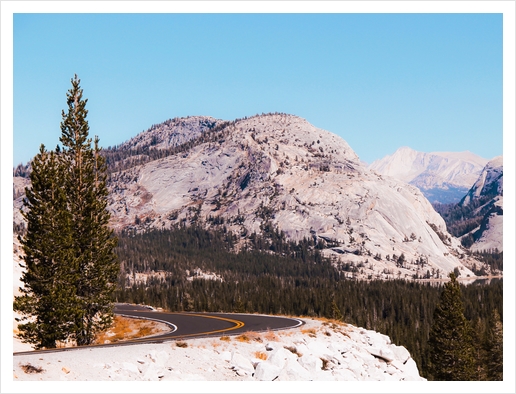 road at Yosemite national park USA Art Print by Timmy333