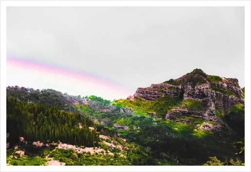 rainbow over the green tropical mountain at Kauai, Hawaii, USA Art Print by Timmy333