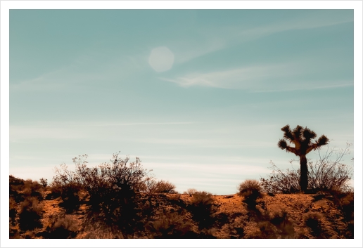 Cactus and desert view at Red Rock Canyon State Park California USA Art Print by Timmy333