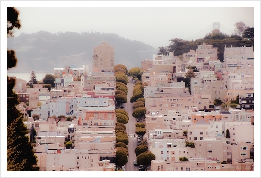 road with green tree and buildings at San Francisco California USA Art Print by Timmy333