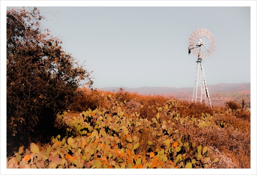 windmill and green cactus garden with mountain view and blue sky background Art Print by Timmy333