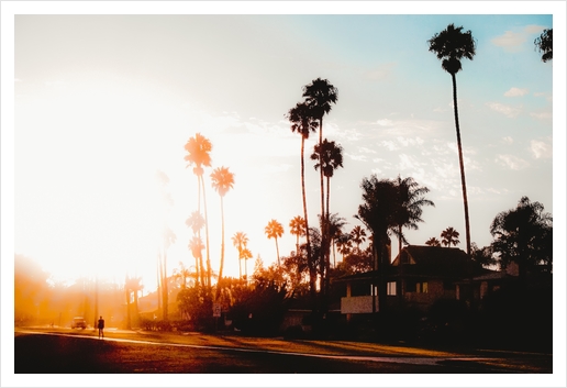 summer sunset sky with palm tree view in California USA Art Print by Timmy333