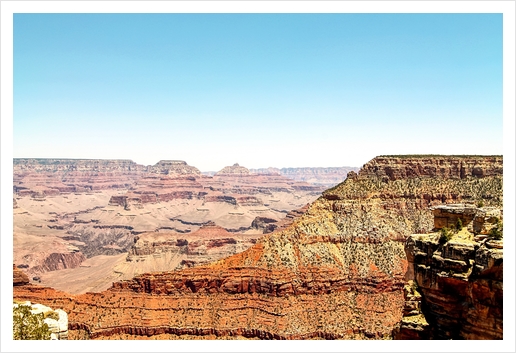 at Grand Canyon national park, USA Art Print by Timmy333