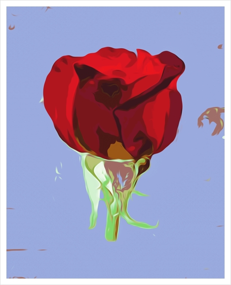 red rose with blue background Art Print by Timmy333