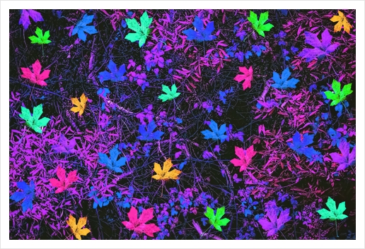 maple leaf in pink blue green yellow purple with pink and purple creepers plants background Art Print by Timmy333