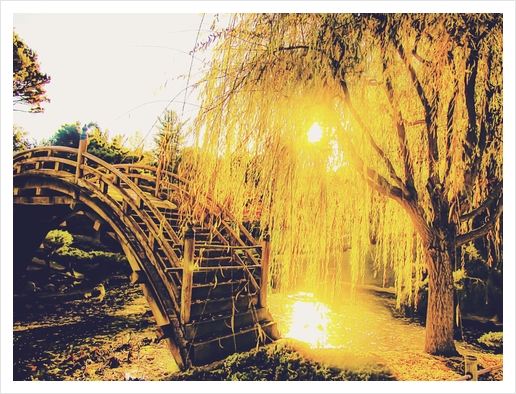 summer light in the garden with tree and wooden bridge Art Print by Timmy333