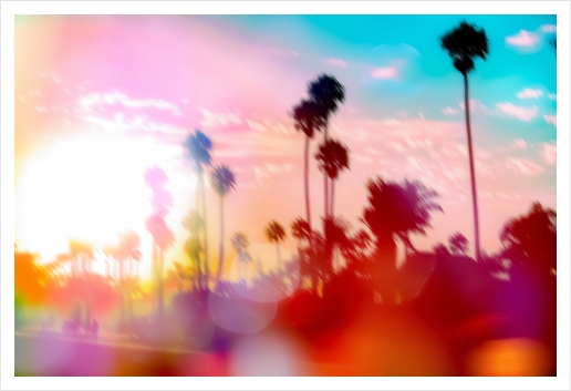 palm tree with sunset sky and light bokeh abstract background Art Print by Timmy333