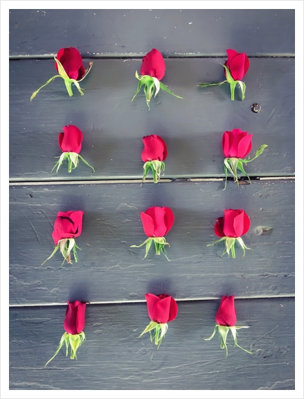 red baby roses on the wooden table Art Print by Timmy333