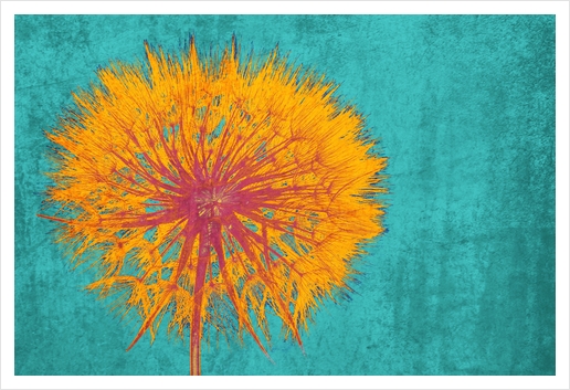 Dandelion Art Print by Irena Orlov