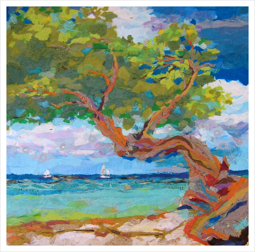 Beach Tree I Art Print by Elizabeth St. Hilaire