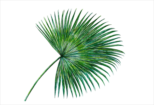 Palm Leaf Art Print by Nika_Akin