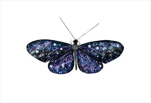 Butterfly Art Print by Nika_Akin