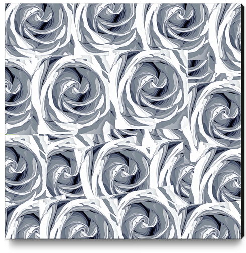 closeup white rose texture pattern abstract background Canvas Print by Timmy333