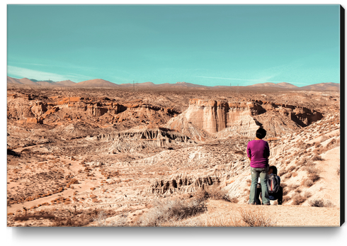 Desert landscape at Red Rock Canyon State Park California USA Canvas Print by Timmy333