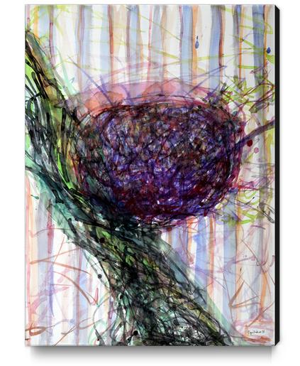 Splashy Fruit Canvas Print by Heidi Capitaine