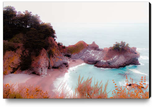 waterfall in the west coast at Mcway Falls, Big Sur, Highway 1, California, USA Canvas Print by Timmy333