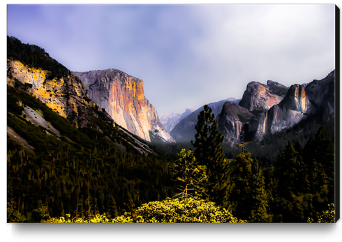 Mountains with blue sky in the forest at Yosemite national park, California, USA Canvas Print by Timmy333