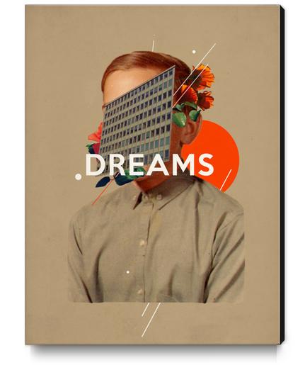 Dreams Canvas Print by Frank Moth