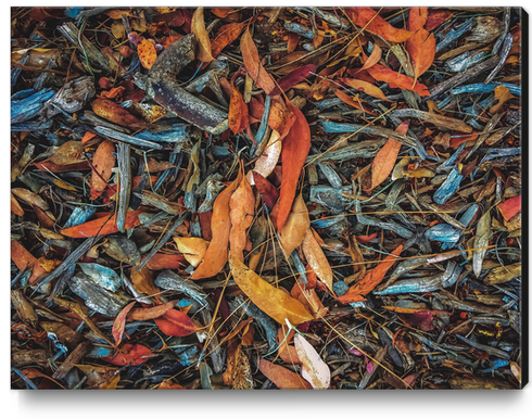 dry brown leaves and dry tree branches on the ground Canvas Print by Timmy333