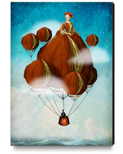 Flying Away Canvas Print by DVerissimo