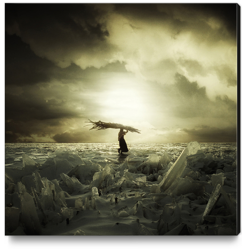 Frozen Nation Canvas Print by Eugene Soloviev