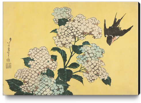 Hydrangea and Swallow Canvas Print by Katsushika Hokusai