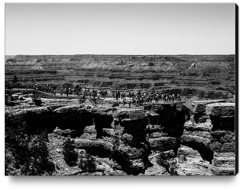 at Grand Canyon national park, USA in black and white Canvas Print by Timmy333