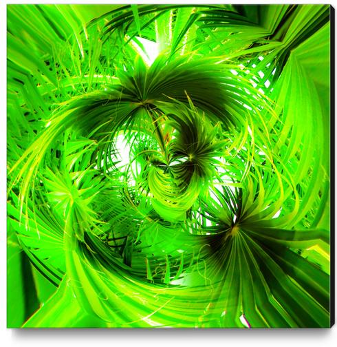 spiral green leaves texture abstract background Canvas Print by Timmy333