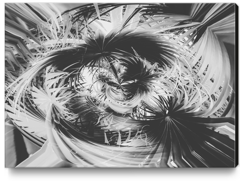 spiral palm leaves abstract background in black and white Canvas Print by Timmy333