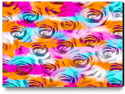 closeup rose texture pattern abstract background in pink orange blue Canvas Print by Timmy333