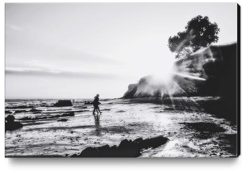 beach sunset with strong summer sunlight in black and white Canvas Print by Timmy333