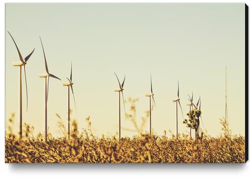 wind turbine in the middle of the desert Canvas Print by Timmy333