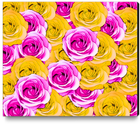 pink rose and yellow rose pattern abstract background Canvas Print by Timmy333