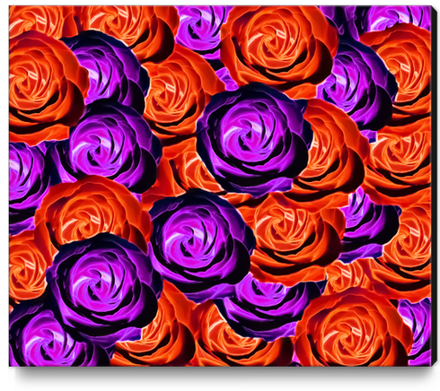 blooming rose texture pattern abstract background in red and purple Canvas Print by Timmy333