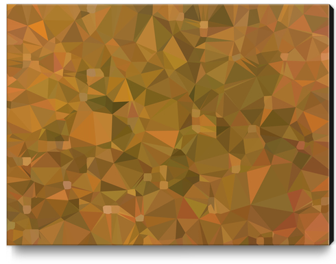 geometric triangle shape pattern abstract in brown Canvas Print by Timmy333