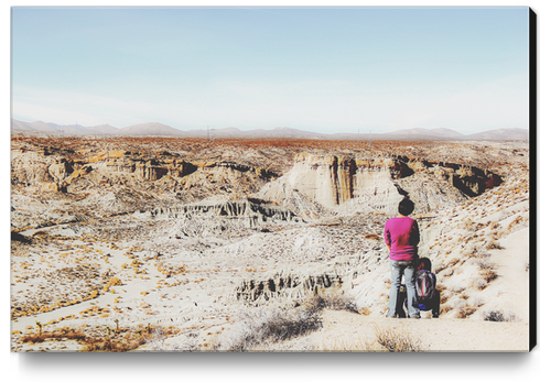 enjoy desert view in summer at Red Rock Canyon, California, USA Canvas Print by Timmy333