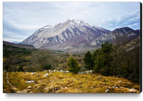 Mountains in the background X Canvas Print by Salvatore Russolillo