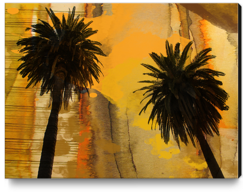 Palm Duo Canvas Print by Irena Orlov