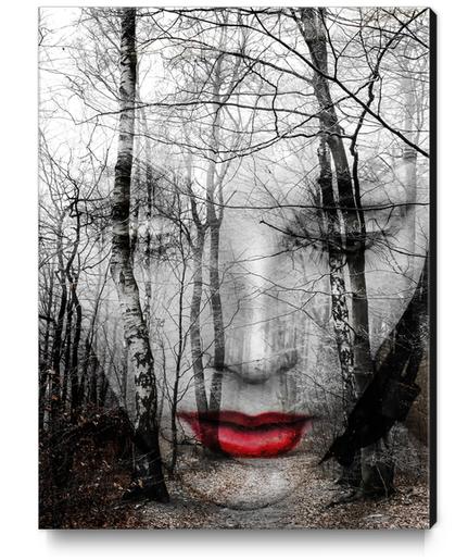 The face in the forest Canvas Print by Gabi Hampe